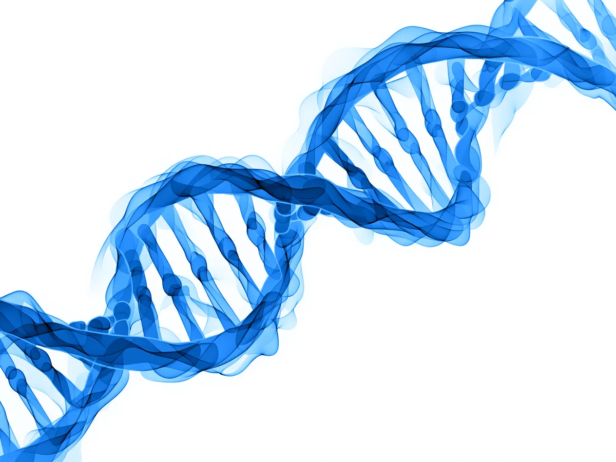 Genetic testing with clinical consultation at Warsaw Genomics