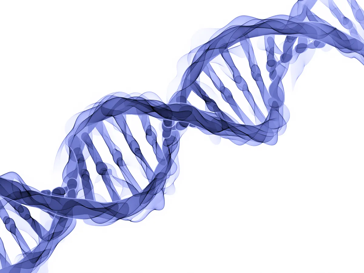 Genetic testing with clinical consultation at Warsaw Genomics
