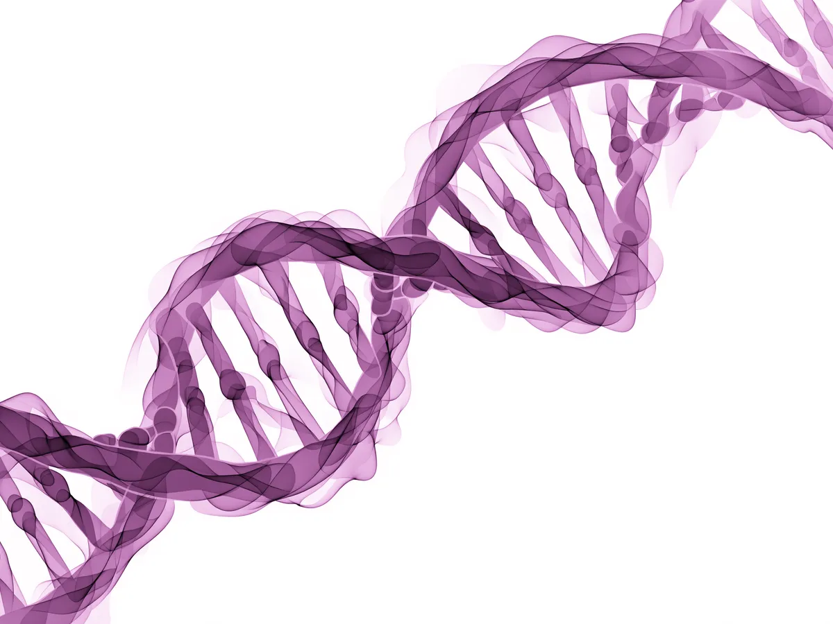 Genetic testing with clinical consultation at Warsaw Genomics