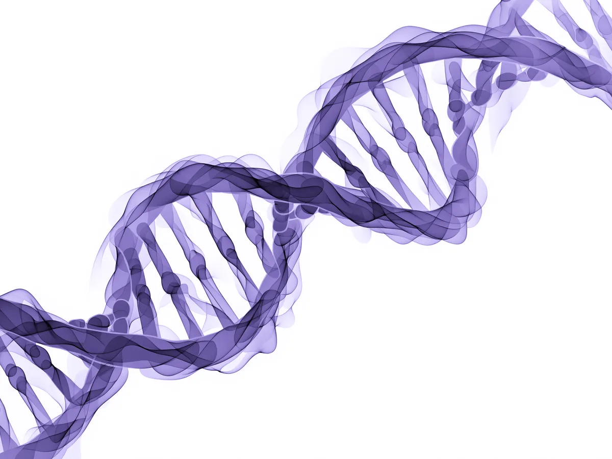 Genetic testing with clinical consultation at Warsaw Genomics