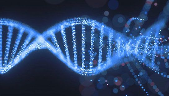 Warsaw Genomics Academy - educational initiative for doctors