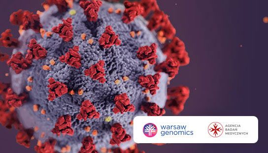 ABM project: Study on anti-SARS‑CoV‑2 antibodies
